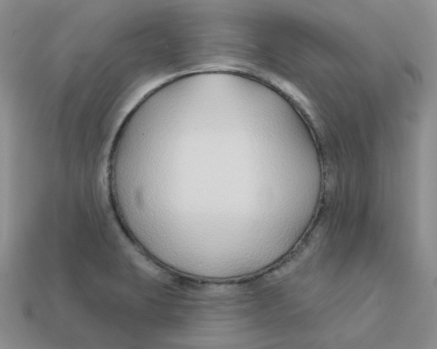 X0000113581423200910161530