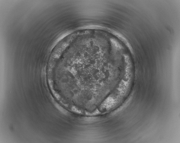 X0000113581425200910161530