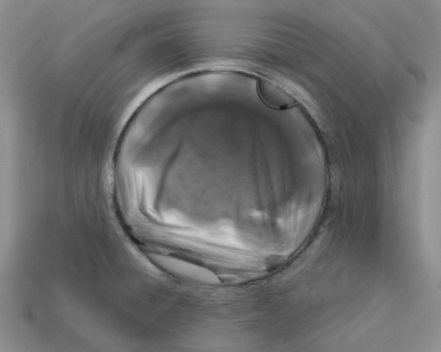 X0000113581428200910161530