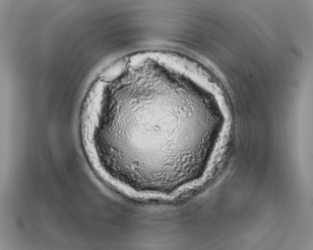 X0000113581429200910161530