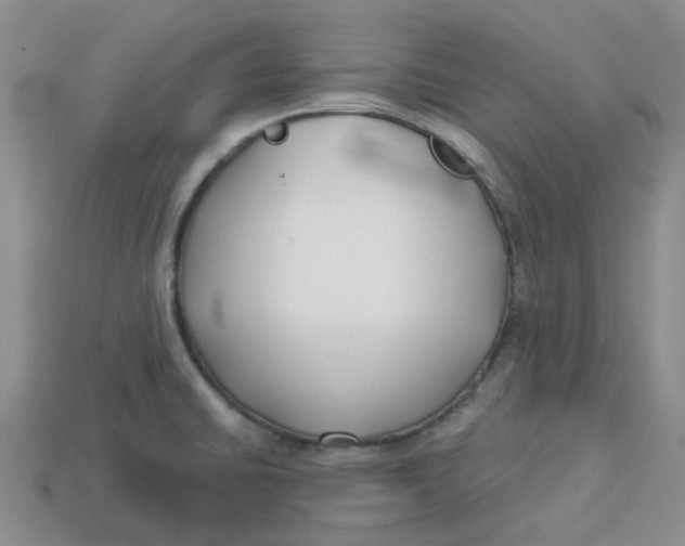 X0000113581430200910161530