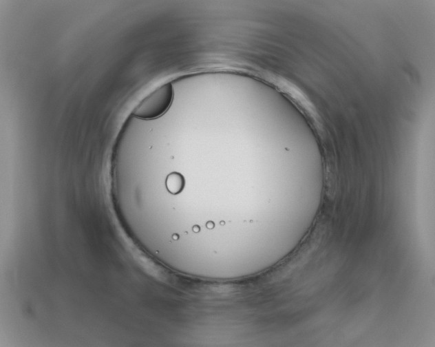 X0000113581431200910161530