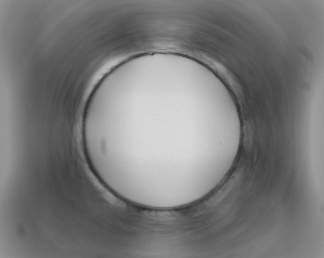 X0000113581432200910161530