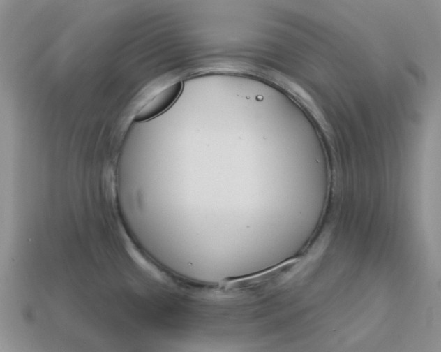 X0000113581433200910161531