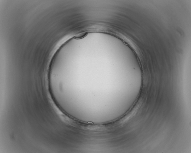 X0000113581434200910161531