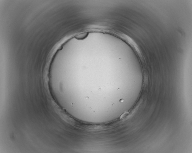 X0000113581435200910161531