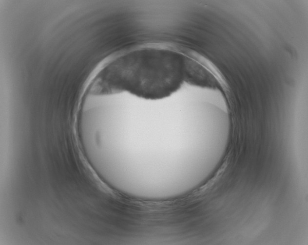 X0000113581436200910161531