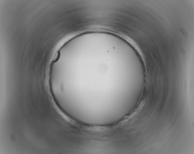 X0000113581437200910161531