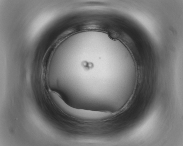 X0000113581438200910161531