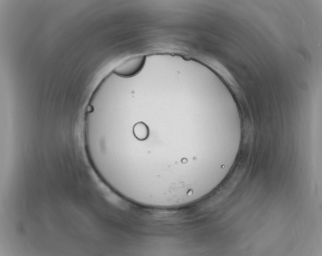 X0000113581439200910161531