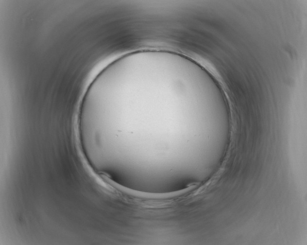 X0000113581440200910161531