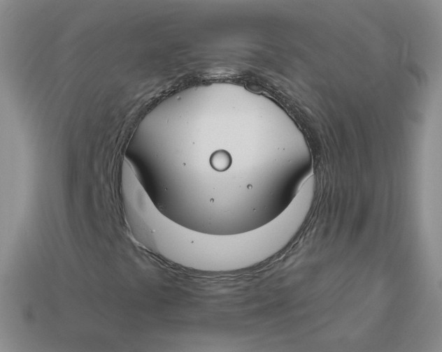 X0000113581441200910161530