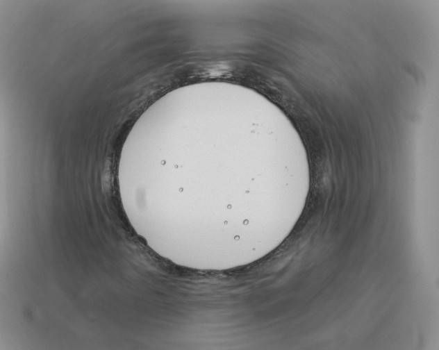 X0000113581442200910161530