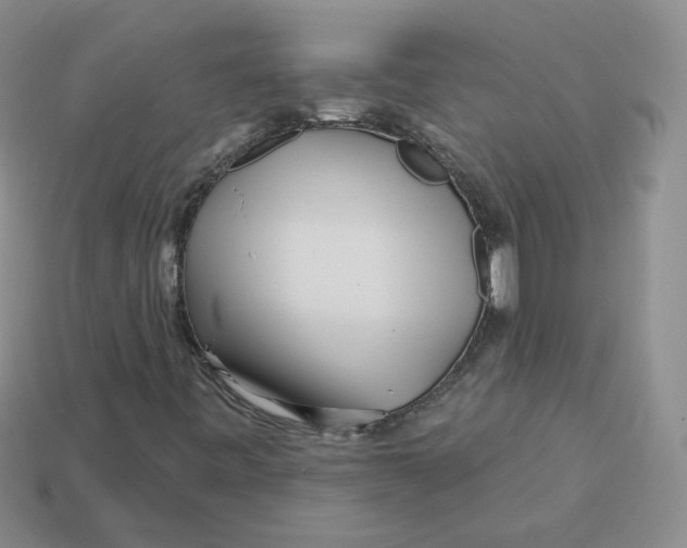 X0000113581443200910161530