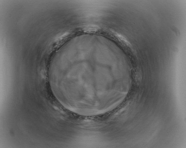 X0000113581445200910161530