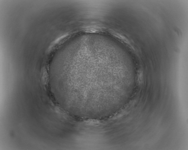 X0000113581446200910161530