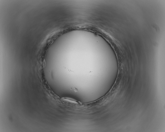 X0000113581447200910161530