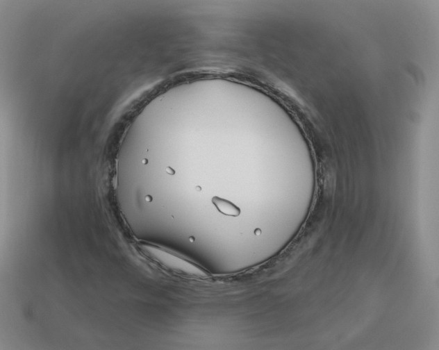 X0000113581448200910161530