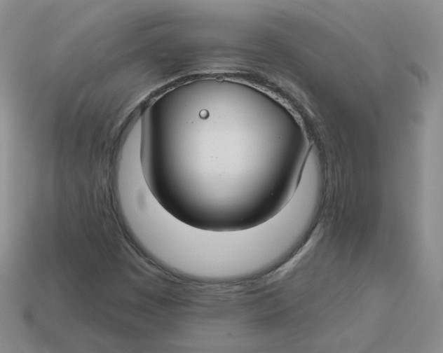 X0000113581449200910161530