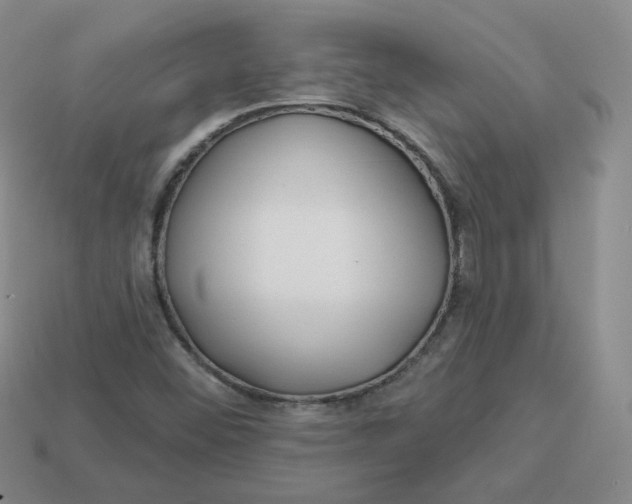 X0000113581452200910161530