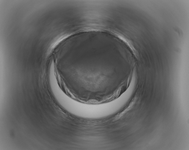 X0000113581453200910161530