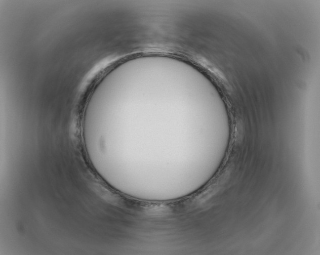 X0000113581454200910161530