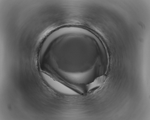 X0000113581455200910161530