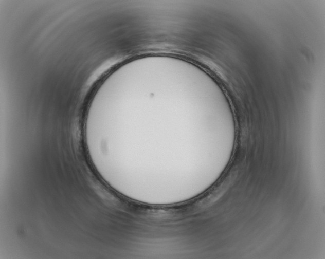 X0000113581458200910161530