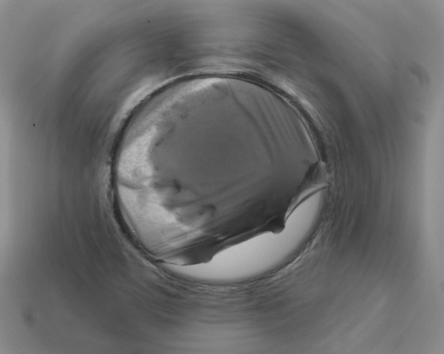 X0000113581459200910161530