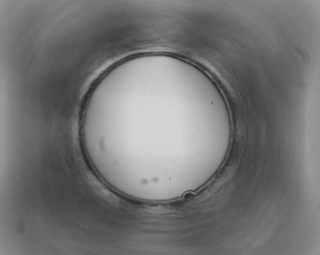 X0000113581460200910161530