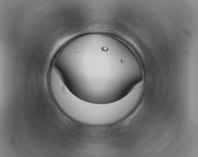 X0000113581461200910161530