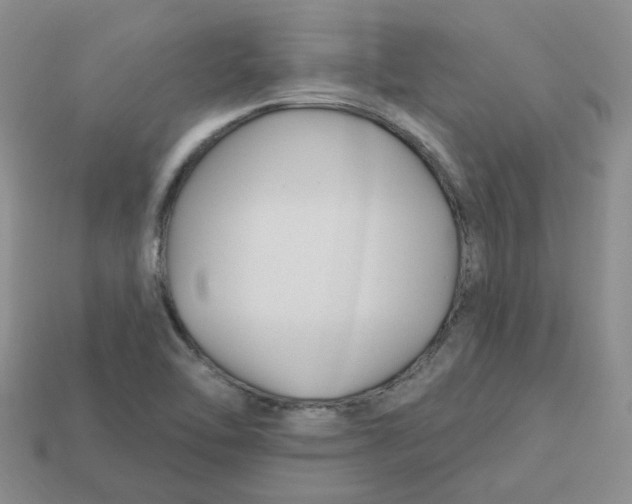 X0000113581462200910161530