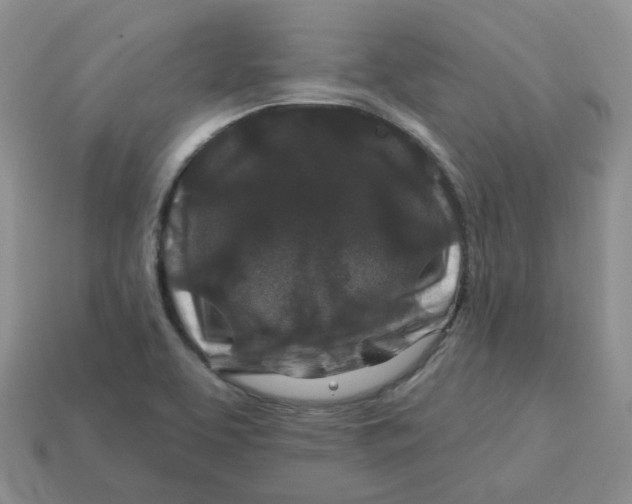 X0000113581463200910161530