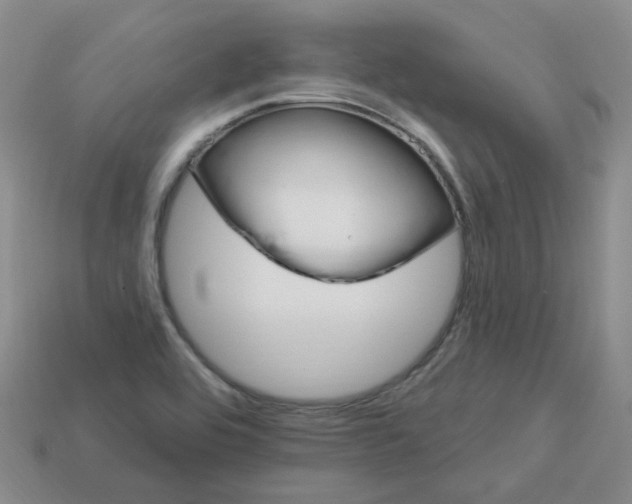 X0000113581464200910161530