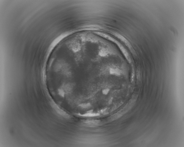 X0000113581466200910161530