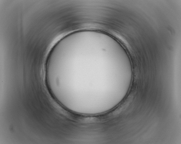 X0000113581467200910161530