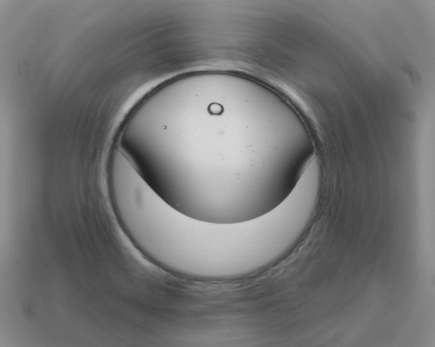 X0000113581468200910161530