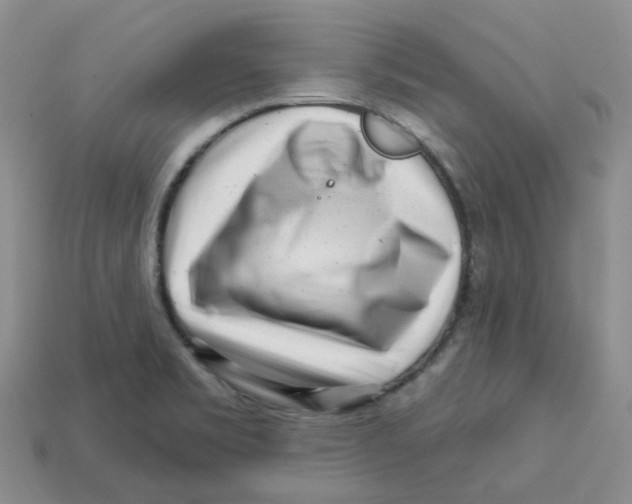 X0000113581469200910161530