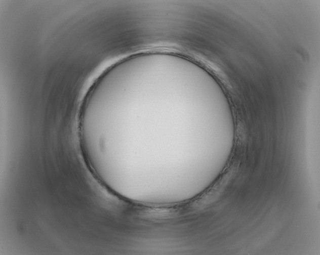 X0000113581470200910161530