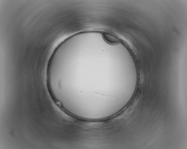 X0000113581471200910161530