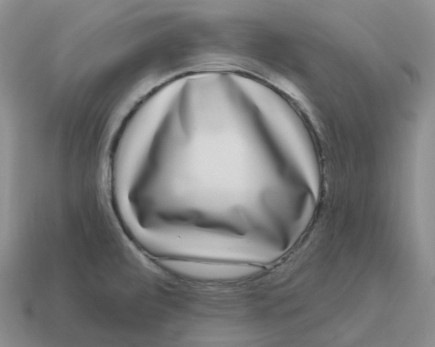 X0000113581472200910161530