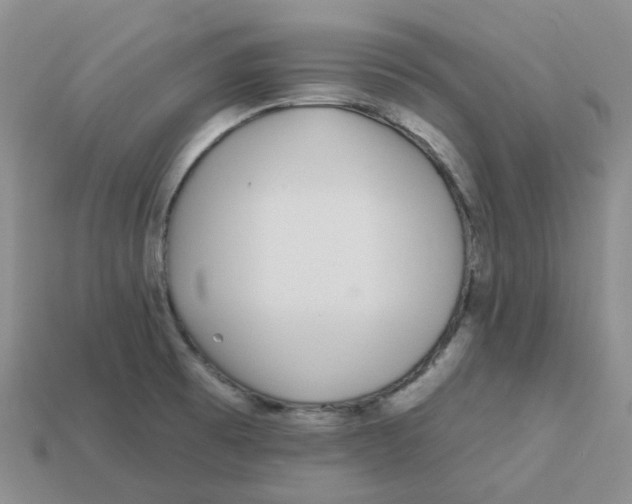 X0000113581473200910161530