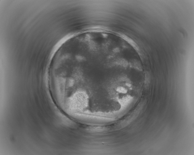 X0000113581474200910161530