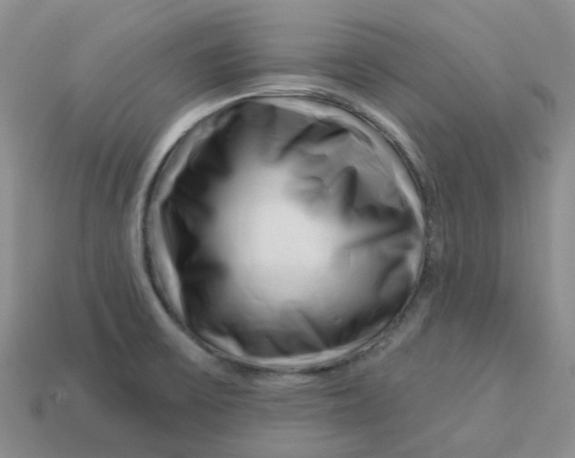 X0000113581475200910161530