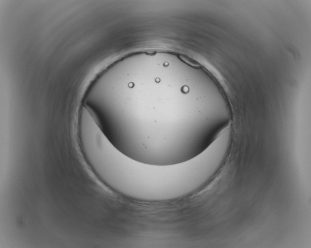 X0000113581477200910161530