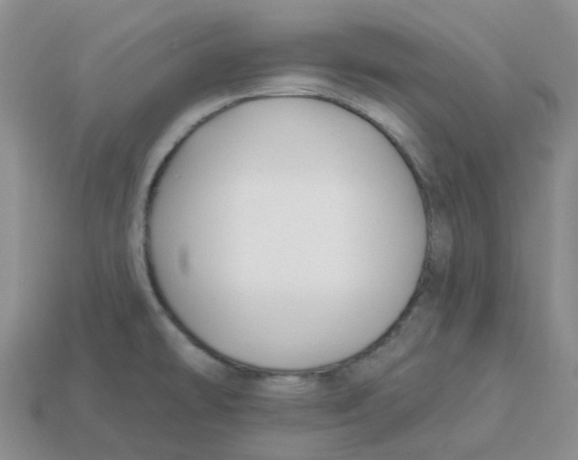 X0000113581478200910161529