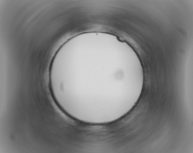 X0000113581479200910161529