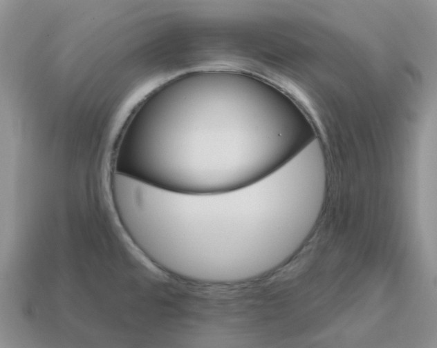 X0000113581480200910161529