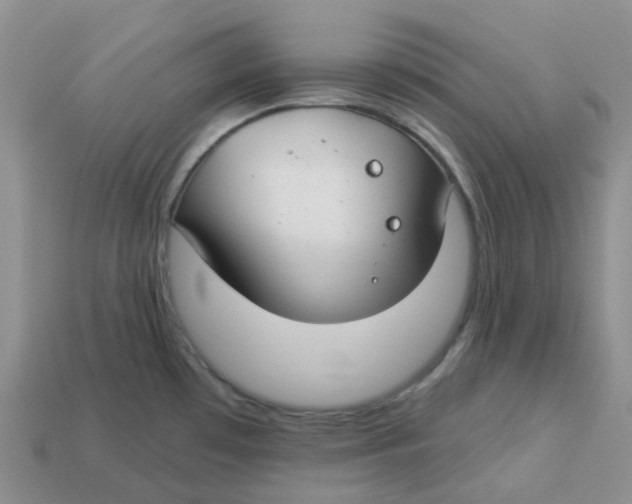 X0000113581481200910161529