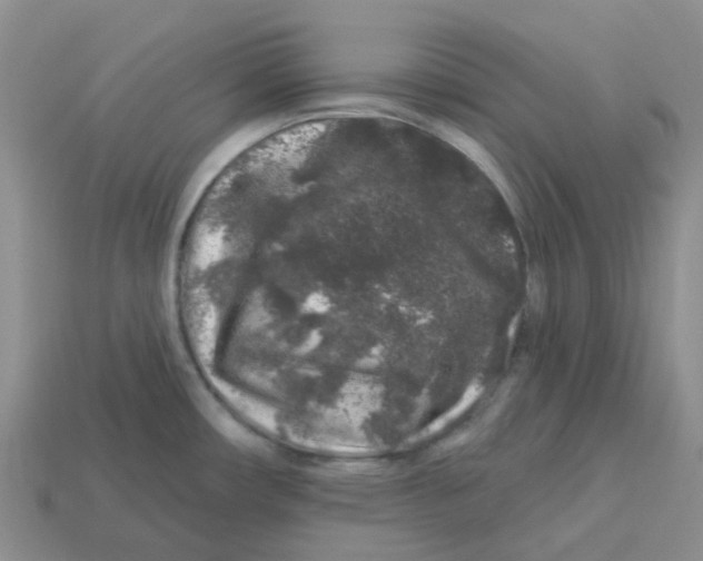 X0000113581482200910161529